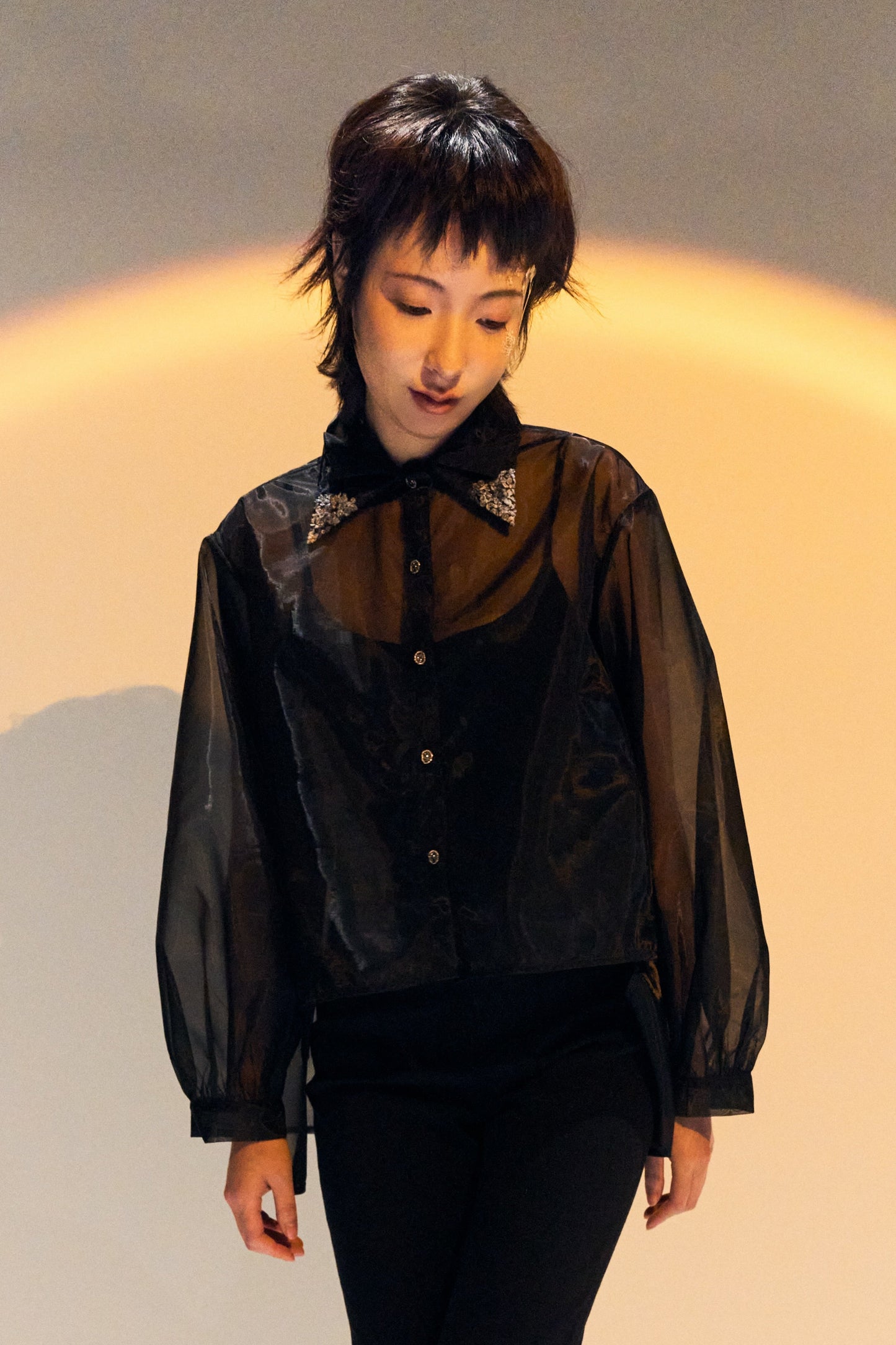 French Silk Ribbon Embroidery Organza Blouse - black