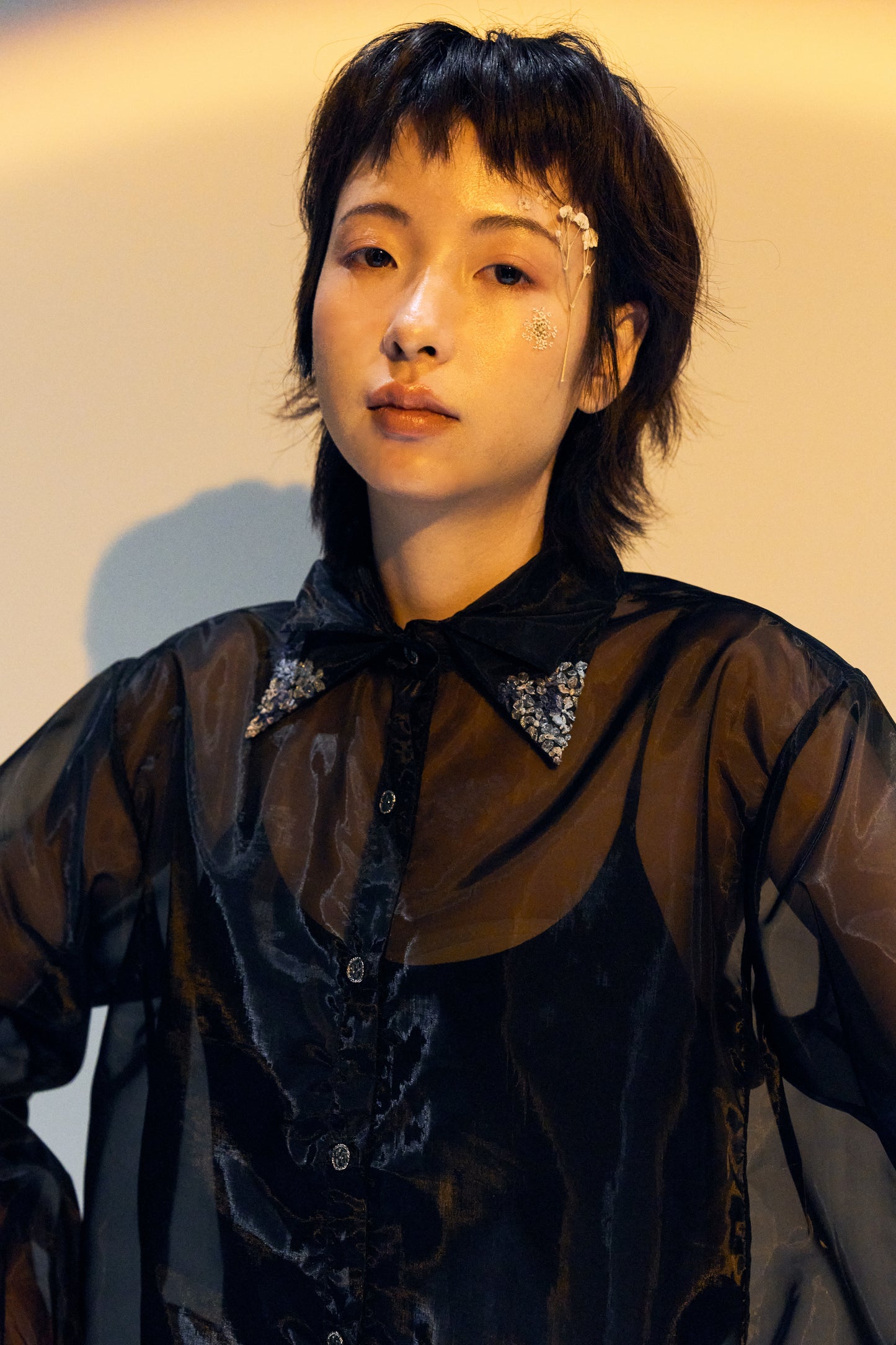 French Silk Ribbon Embroidery Organza Blouse - black